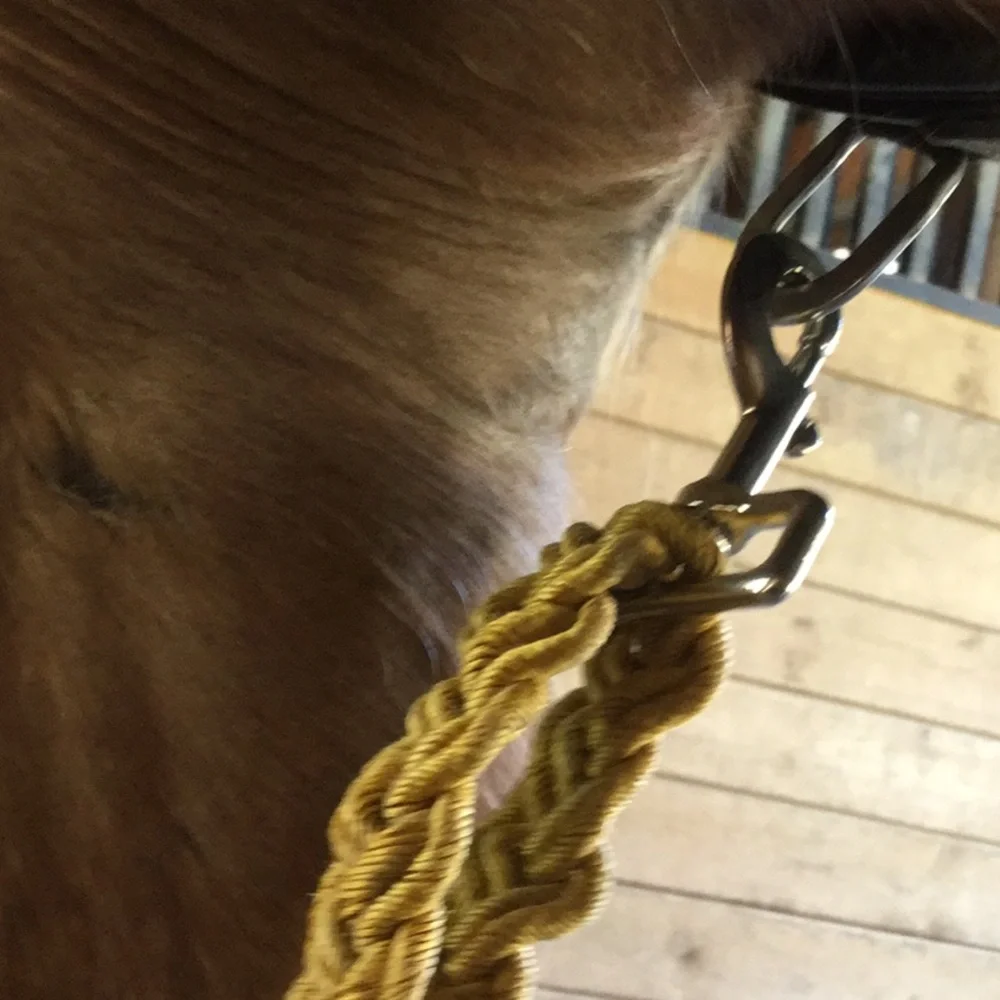 Artisan repurposed horse tack prototype art western project equestrian cowgirl - Picture 7 of 14